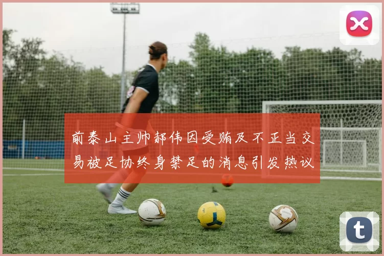 前泰山主帅郝伟因受贿及不正当交易被足协终身禁足的消息引发热议