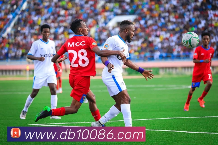 DB真人平台生态图