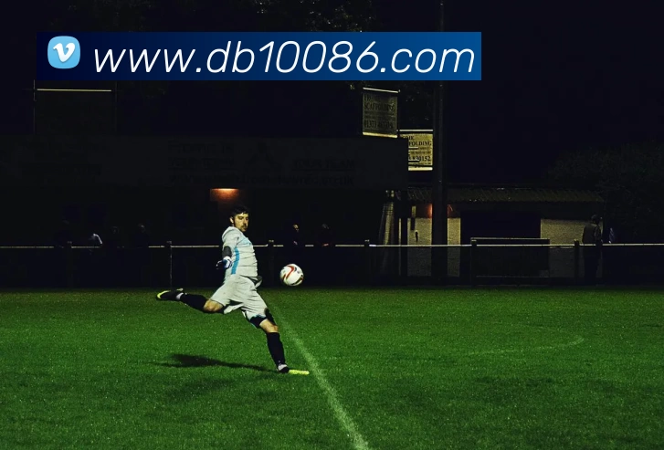 DB真人APP 封面图